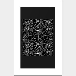 Spider Web Posters and Art